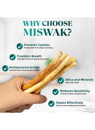 Miswak Stick / 100% Natural Siwak Sticks – 5 Organic Wooden Toothbrushes with Plastic Holder | Teeth Whitening & Oral Care | 100% Chewable & Antibacterial | Eco-Friendly & Vacuum Sealed | Meswak | Sewak - view 4